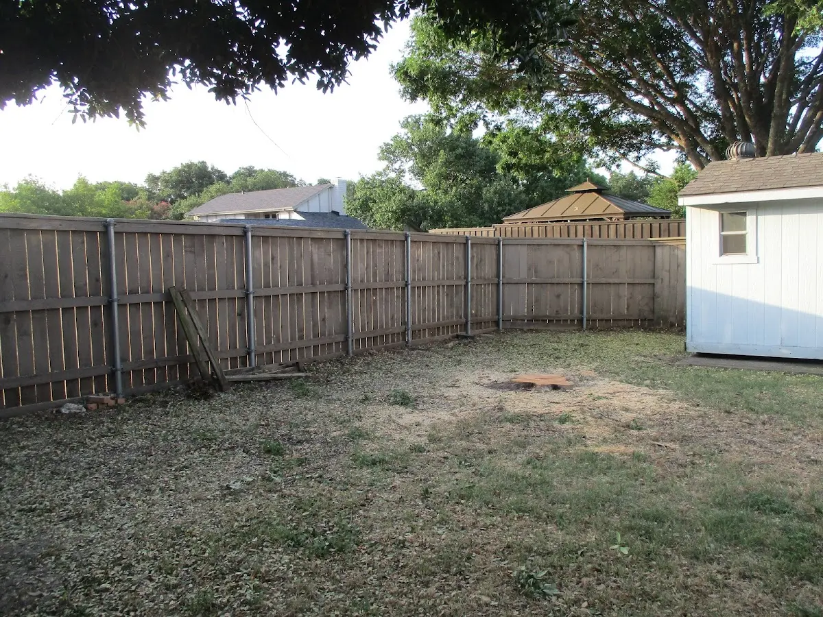 Cleared yard after professional tree removal in New Baltimore